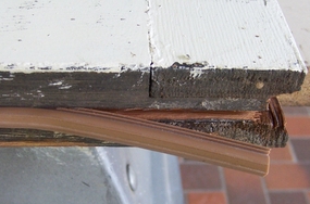bulbseal weatherstripping applied to sash